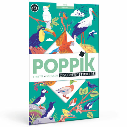 Birds - Sticker Poster - Discovery 7+