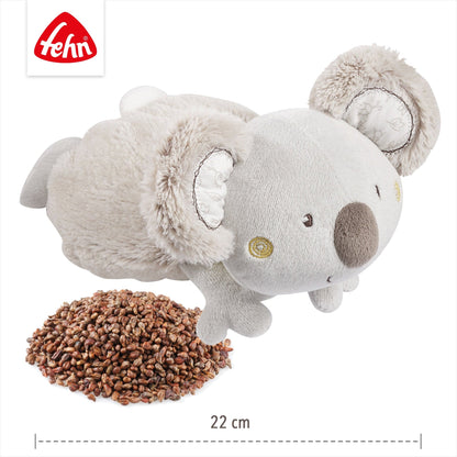 Wärmetier Koala