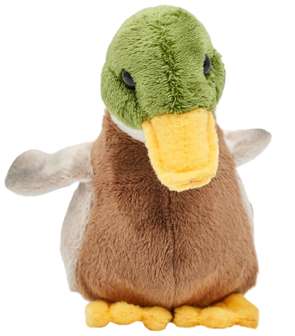 Mallard Duck Plush