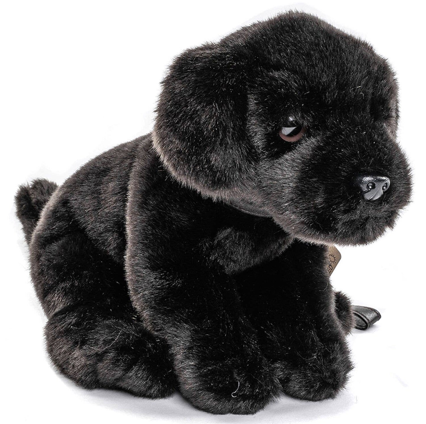 Plush Labrador puppy (black), with leash