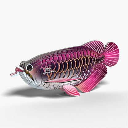 118 Poisson dragon