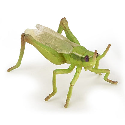 Figurine Sauterelle Papo - animal du jardin