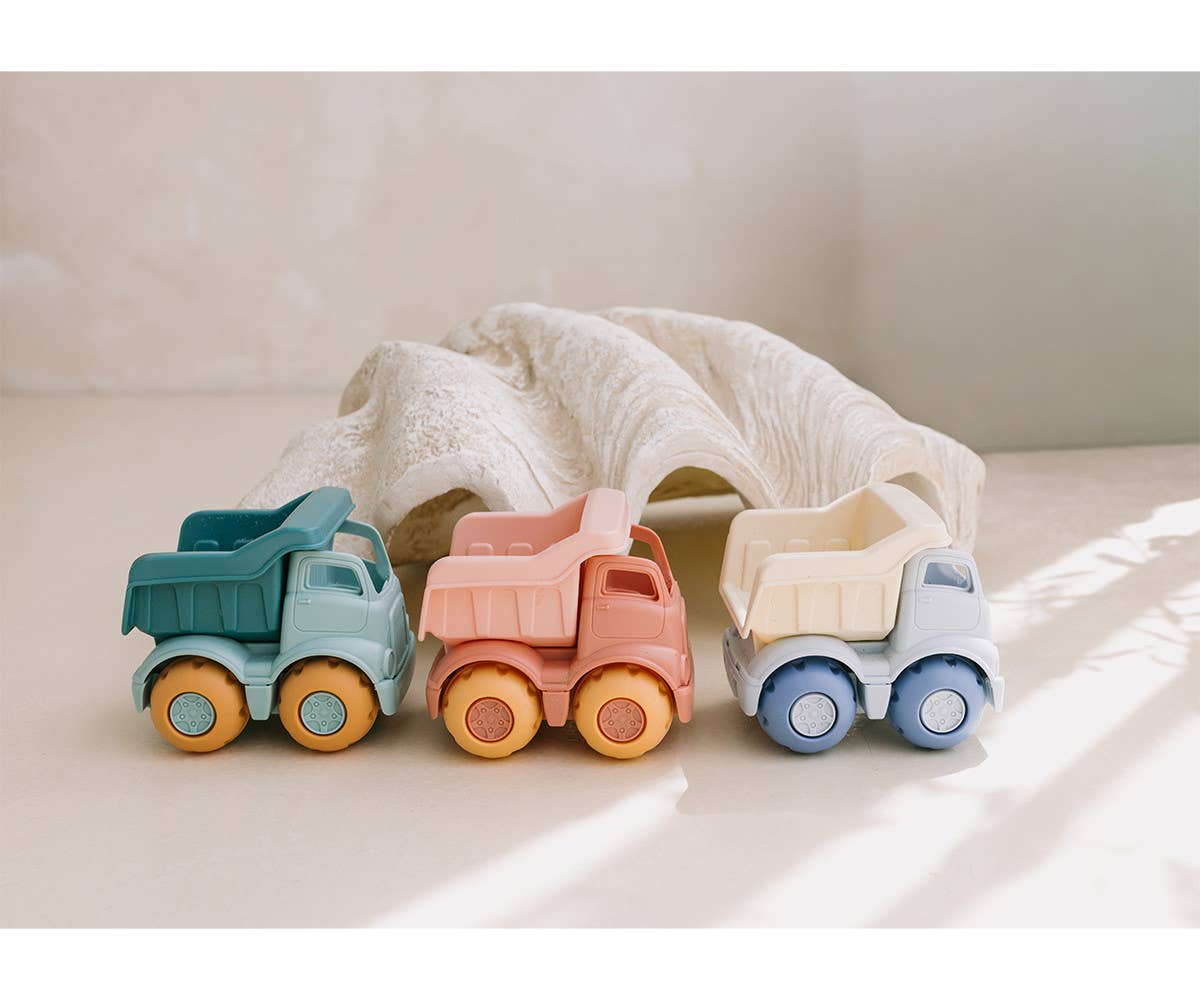 Wild Animals Beach Toy Set