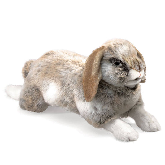 Marionnette à main Lapin à oreilles pendantes 2892/ Lapin, Holland Lop Folkmanis réaliste