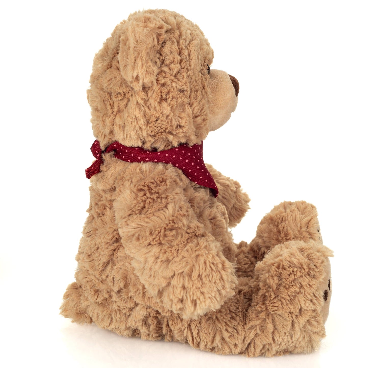 Chilly teddy bear with scarf
