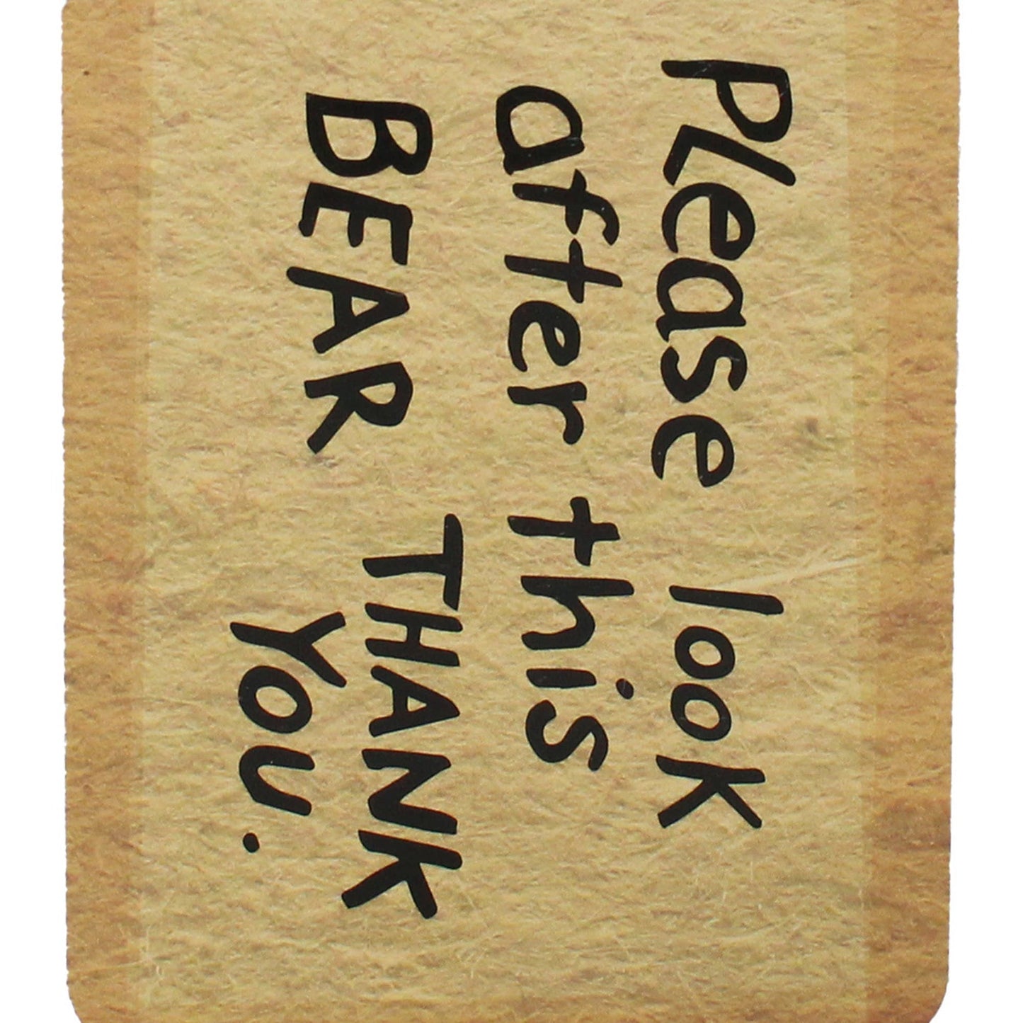 Carnet de poche Paddington - Tag