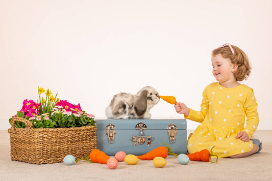 Grey and white Lop Rabbit Plush