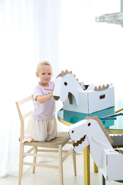 Dinosaur Costume