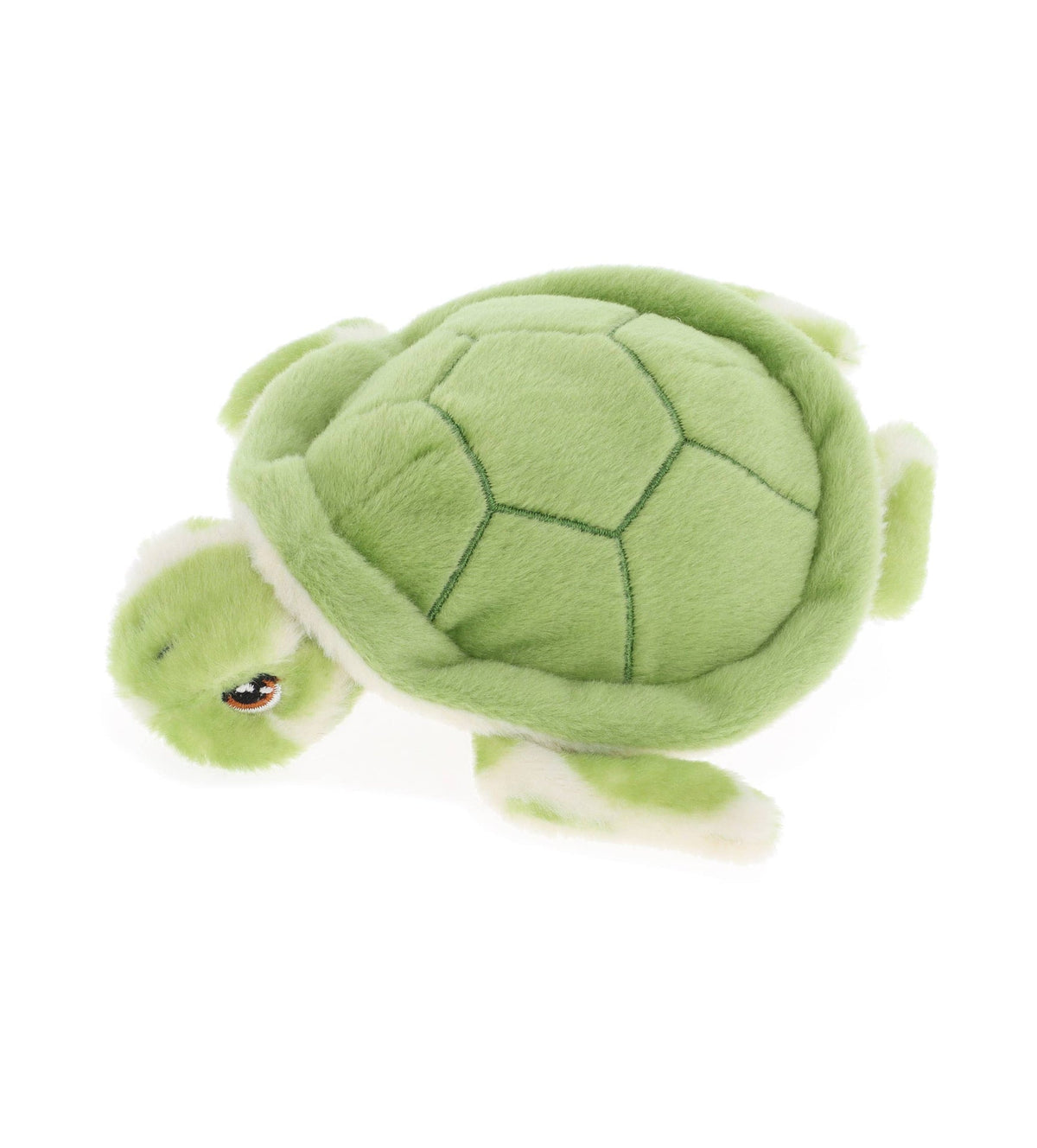 Mini peluche tortue verte Keeleco Collectables 12 cm, vue de dessus