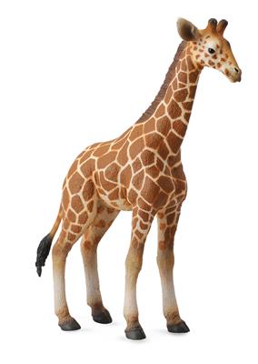 Collecta Animaux sauvages (L): VEAU DE GIRAFE 9x3x12.5cm