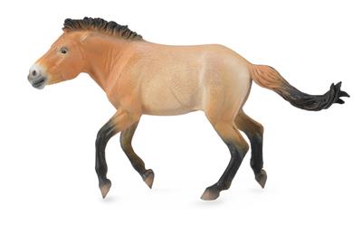 Collecta Chevaux (XL): PRZEWALSKI ETALON 16.5x9cm
