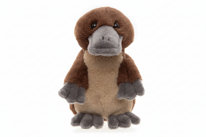 Cuddle Cub Platypus Plush Toy