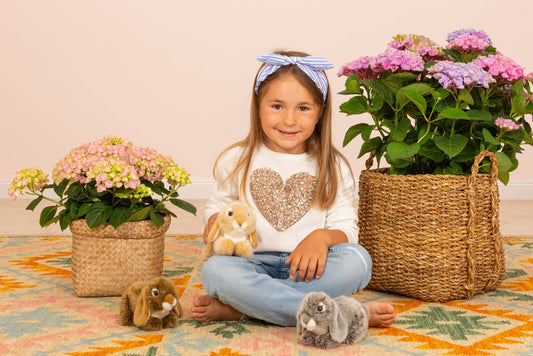 Grey Lop Rabbit Plush Toy