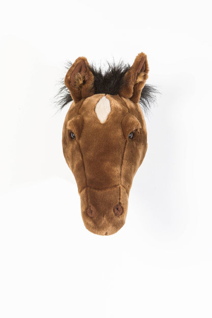 Scarlett the brown horse