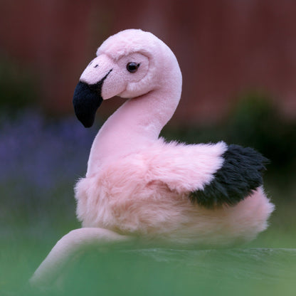ANIMIGOS MONDE DE LA NATURE FLAMANT ROSE