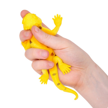 Lézards Changeant de Couleur – Modèle Assorti