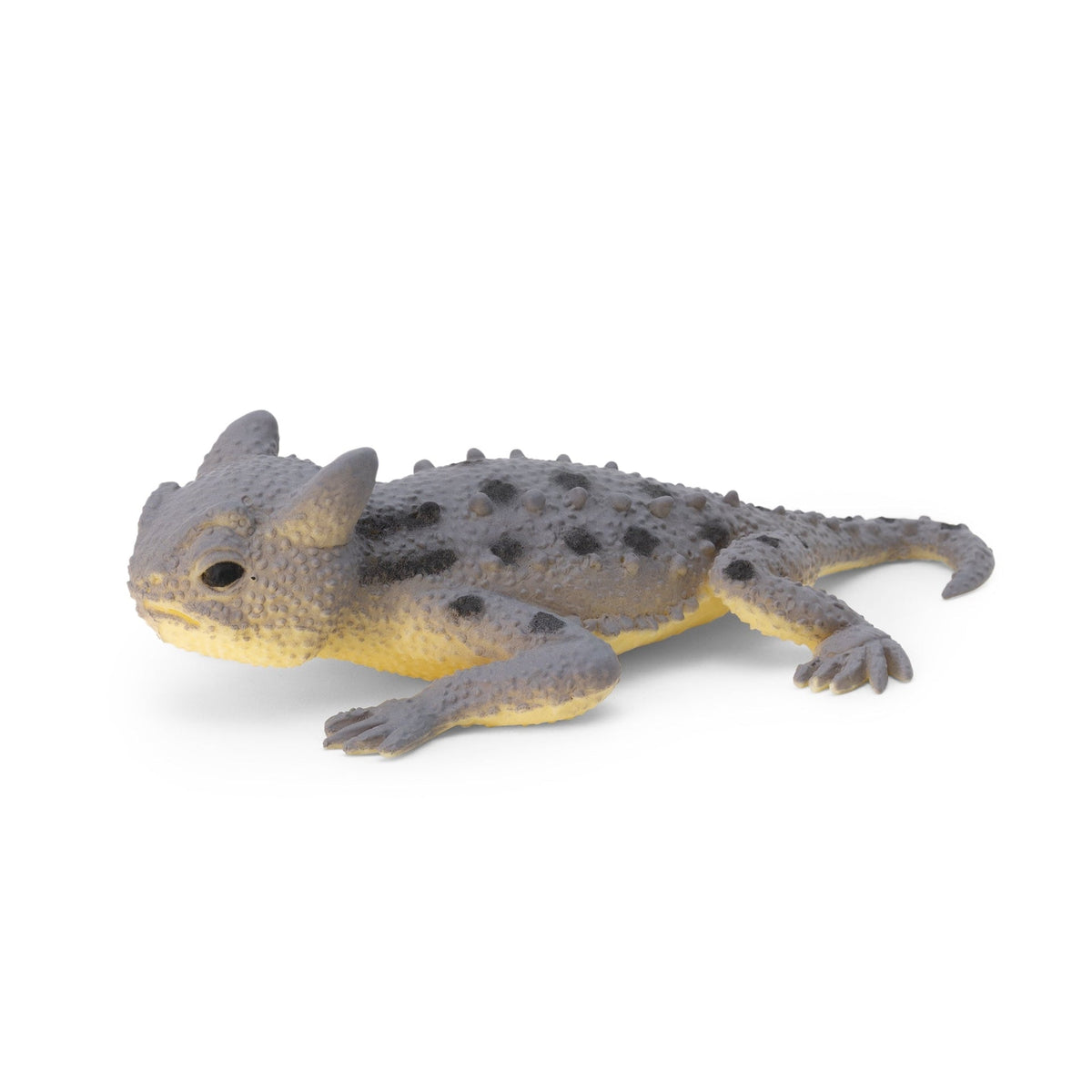 Lézards Changeant de Couleur – Modèle Assorti