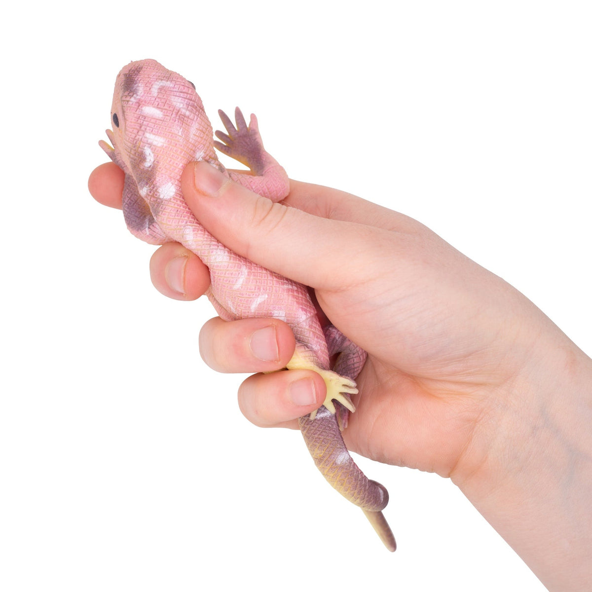 Lézards Changeant de Couleur – Modèle Assorti