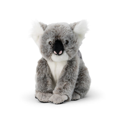 ANIMIGOS WELT DER NATUR KOALA UND BABY