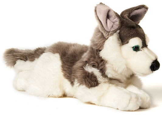 Peluche Husky gris couché Uni Toys