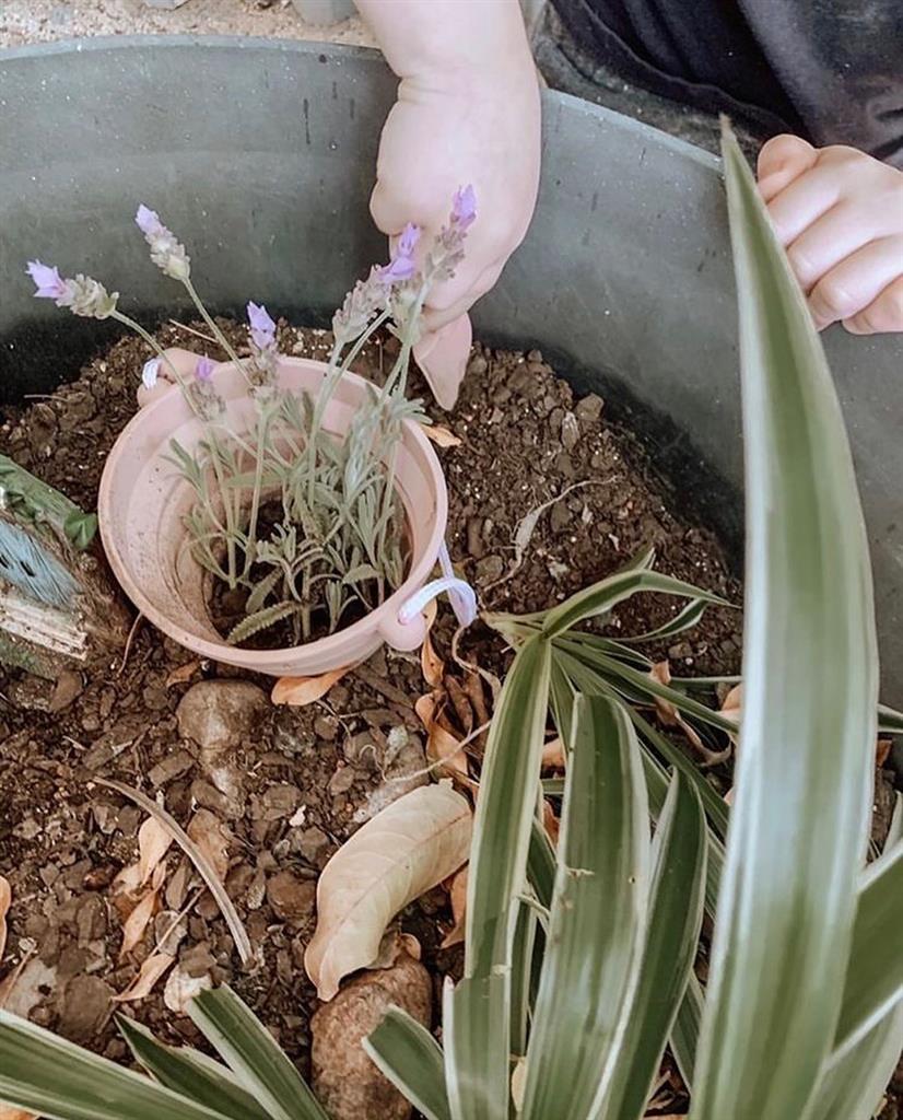 Old Pink Shovel Seedling Pot