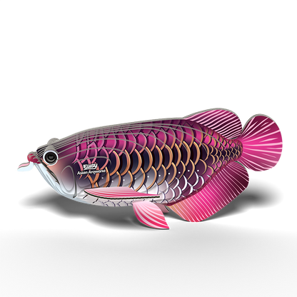 eugy 118 asian arowana