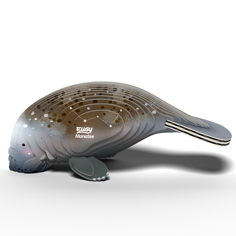 eugy 122 manatee