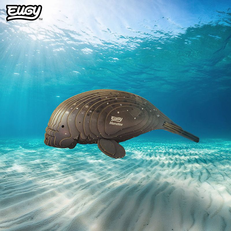 eugy 122 manatee