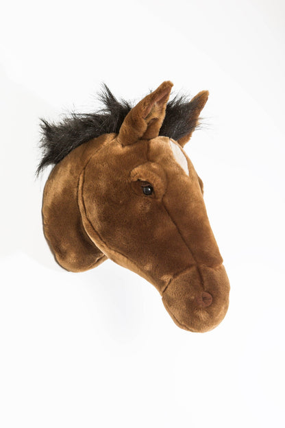 Scarlett the brown horse