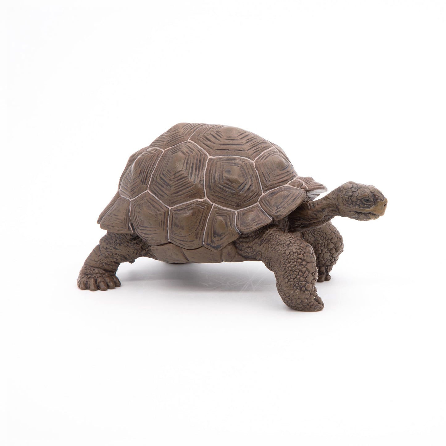 Figurine Tortue des Galápagos Papo - animal sauvage