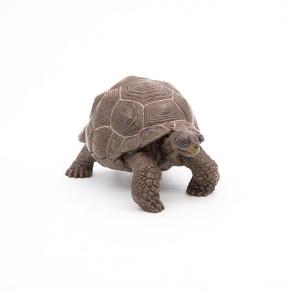 Figurine Tortue des Galápagos Papo - animal sauvage