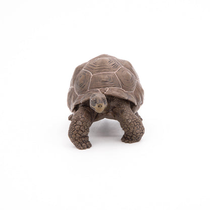 Figurine Tortue des Galápagos Papo - animal sauvage