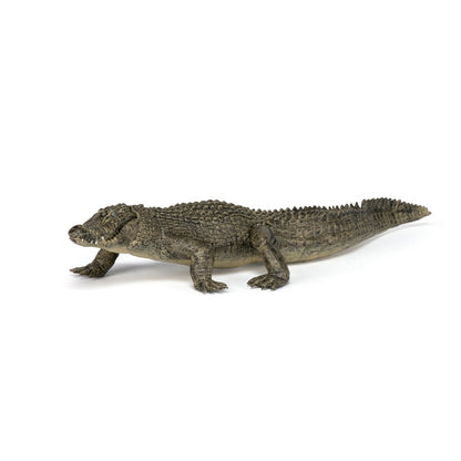 Figurine Alligator Papo - animal sauvage