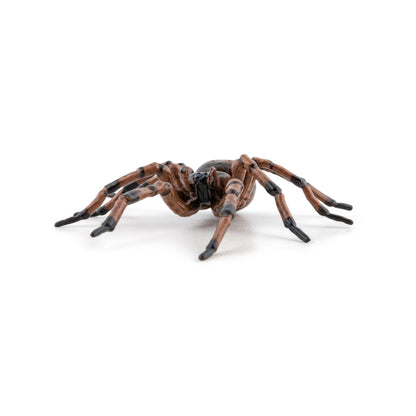 Figurine Araignée commune Papo - animal du jardin