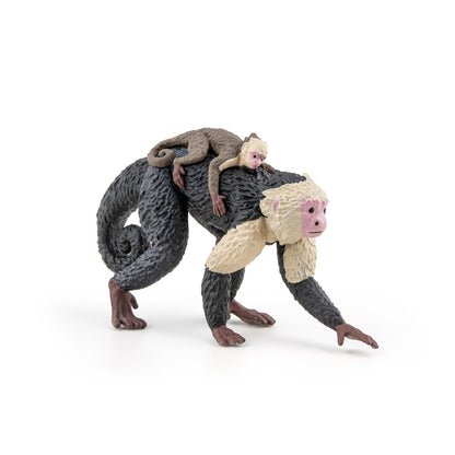 Figurine Capucin