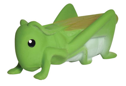 Mijn eerste sprinkhaan -insect