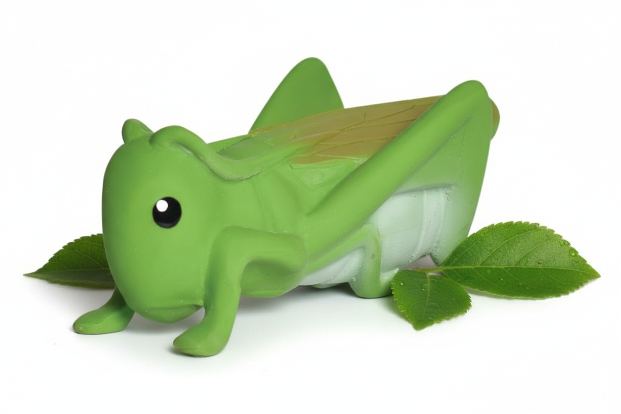 Mijn eerste sprinkhaan -insect