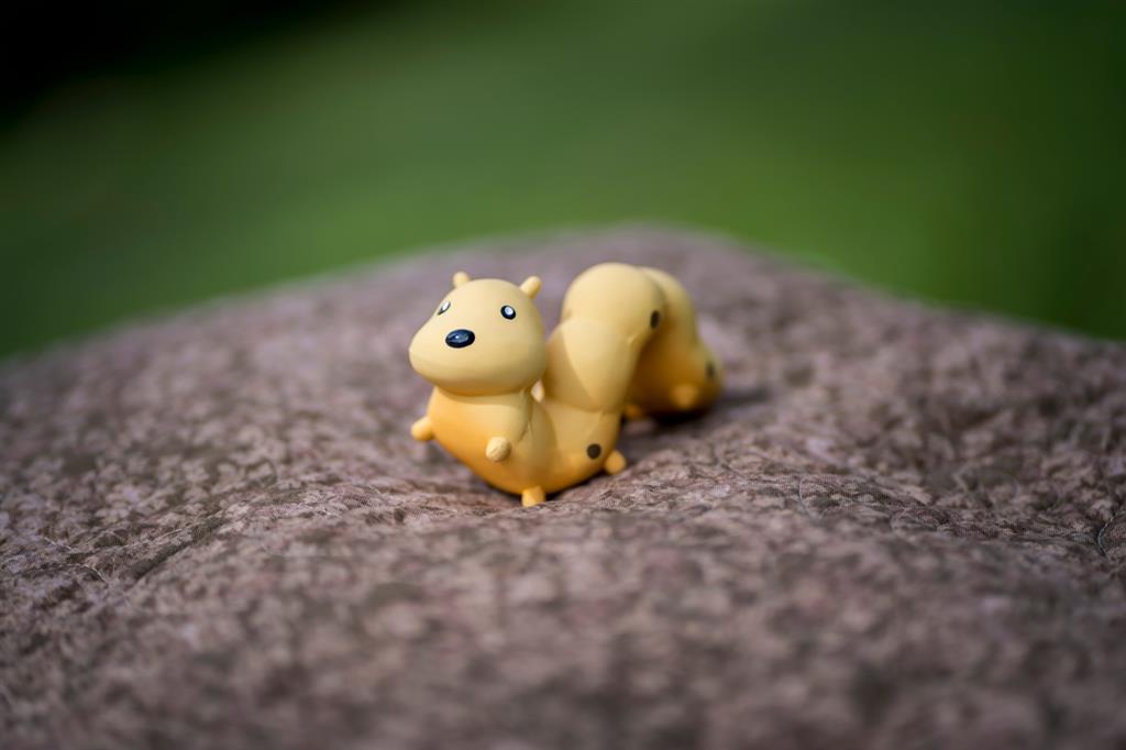 My First Garden Animals