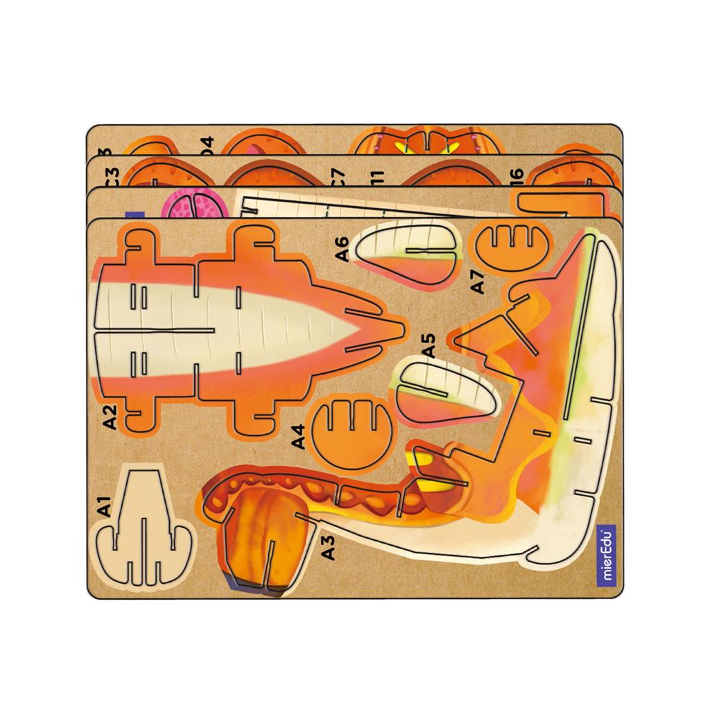 3D Puzzle Konstruktion - Brachiosaurus