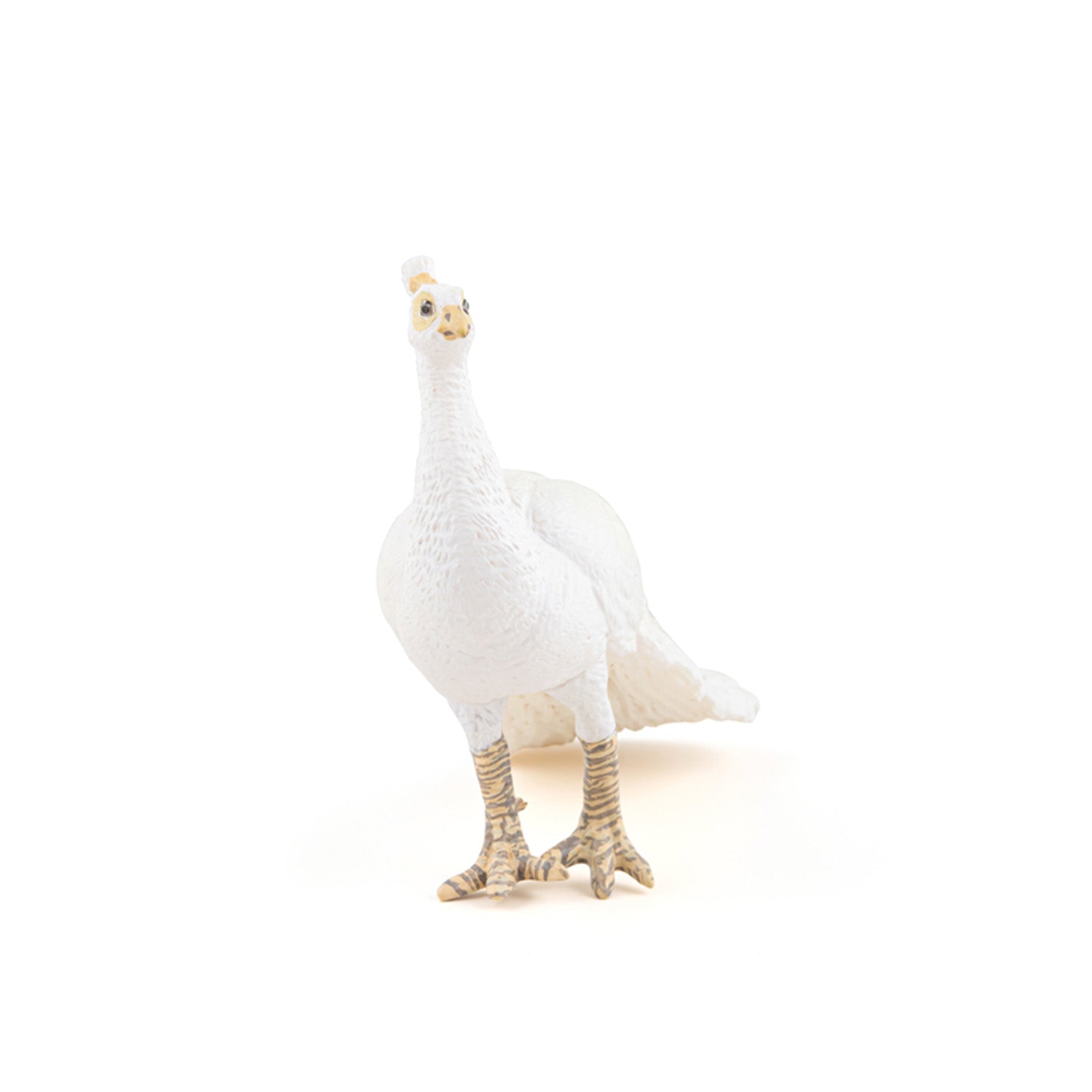 Figurine Paon blanc Papo - animal de la ferme