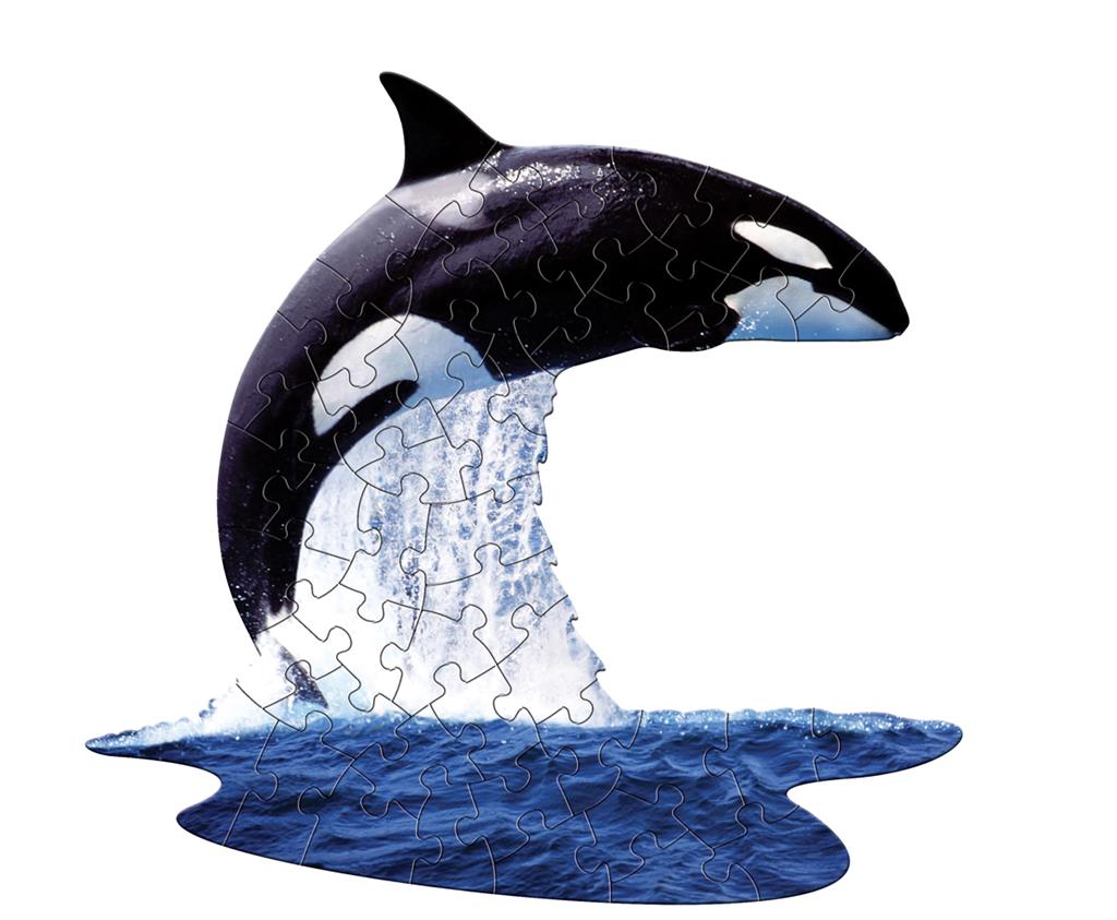 Orca Puzzle