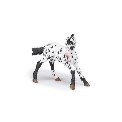Figurine Poulain appaloosa noir