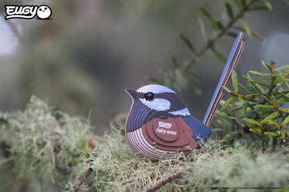 EUGY 3D - Superb Fairy Wren