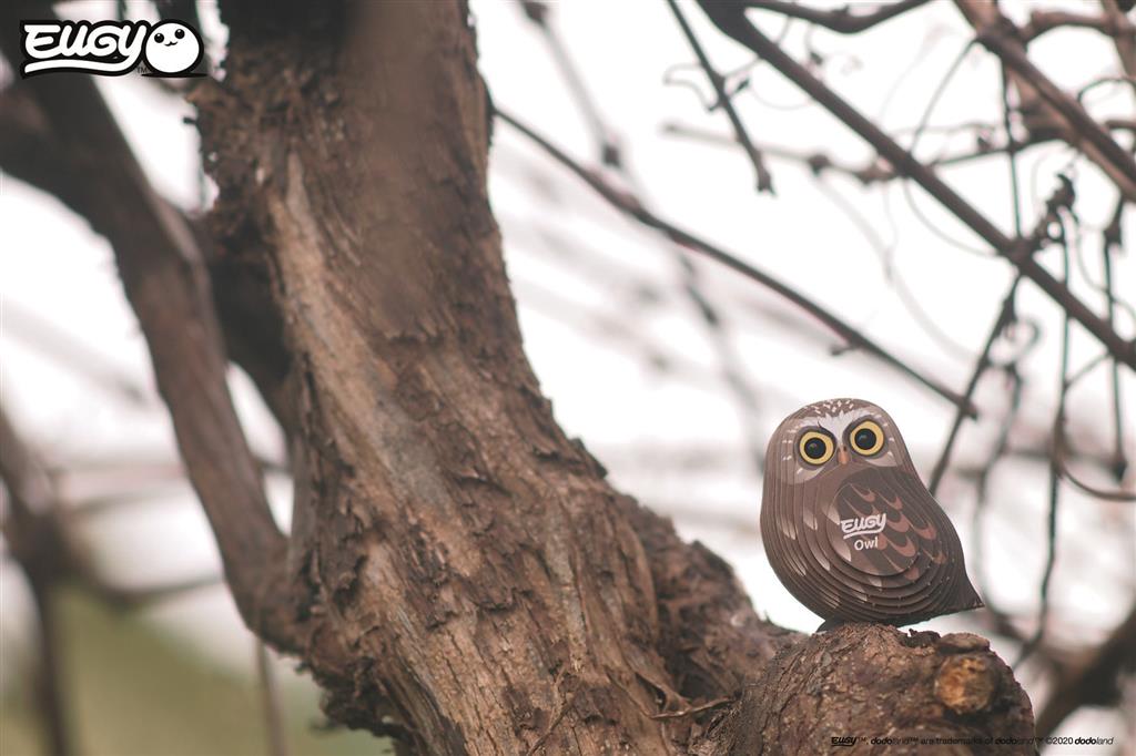 EUGY 3D - Owl