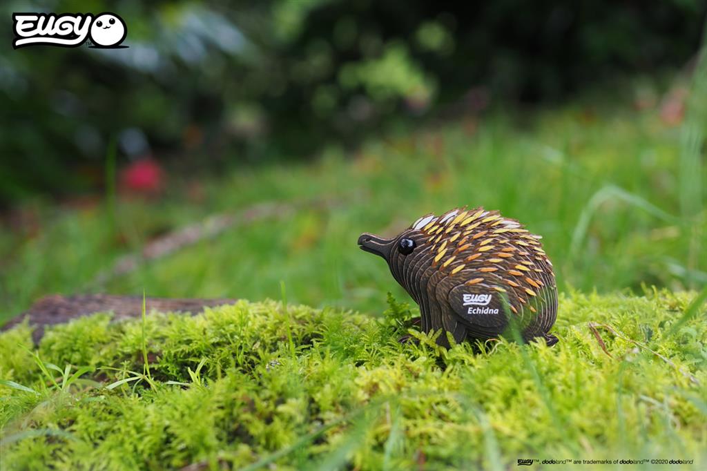 EUGY 3D - Echydne