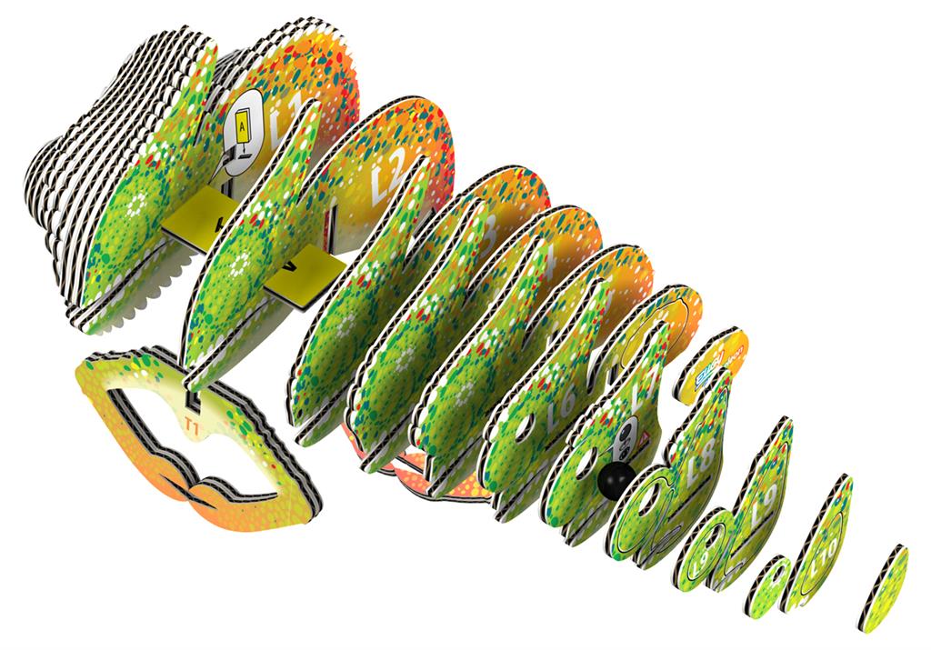 EUGY 3D - Chameleon