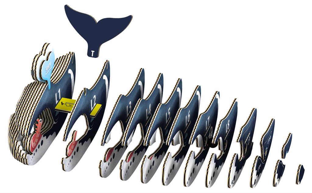 EUGY 3D - Bowhead Whale