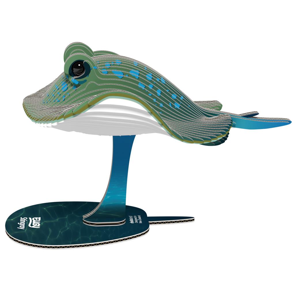 EUGY 3D - Ray