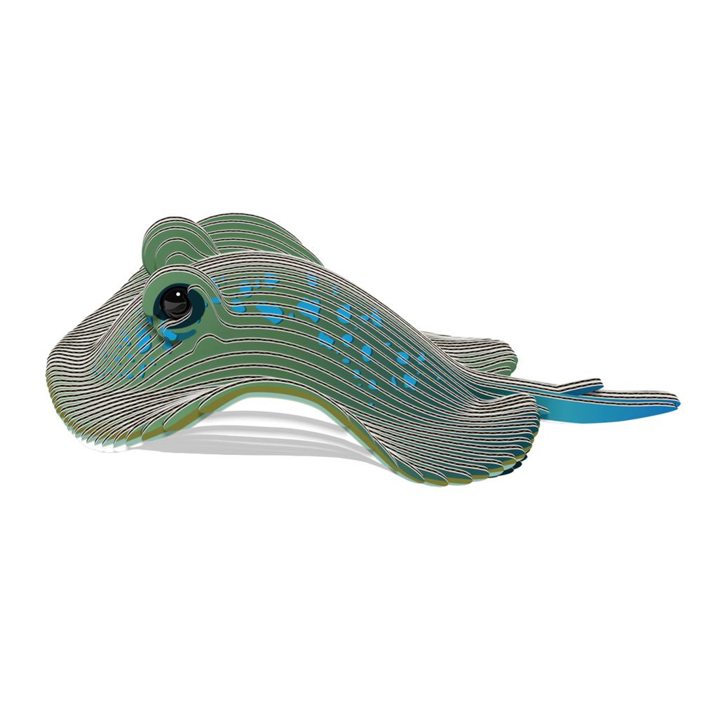 EUGY 3D - Ray