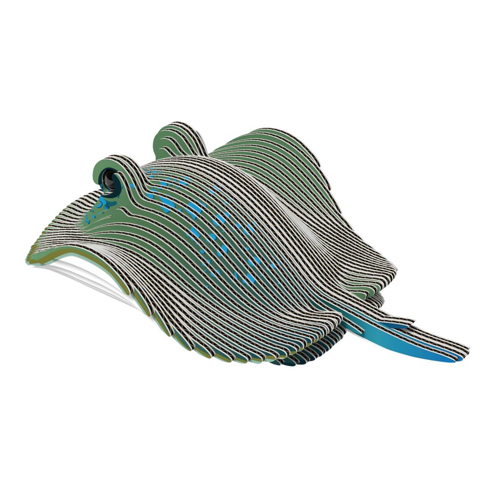 EUGY 3D - Ray
